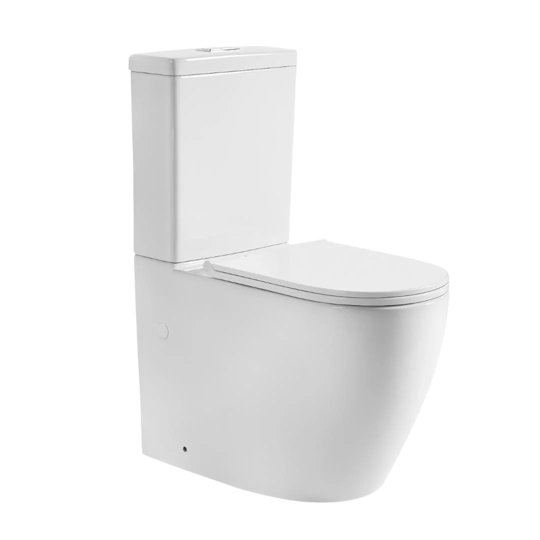 Linsol Ajax Back to Wall Rimless Toilet Suite