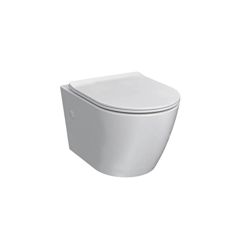 Parisi Ellisse MKII Rimless Wall Hung Pan