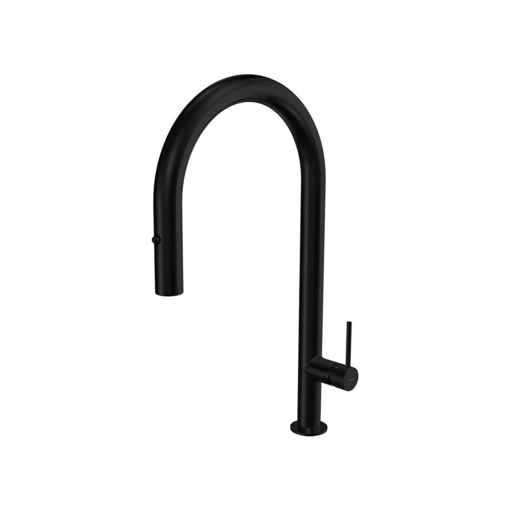 Parisi Envy 30 Kitchen Mixer with Round Spout and Pull Out Spray - Matt Black