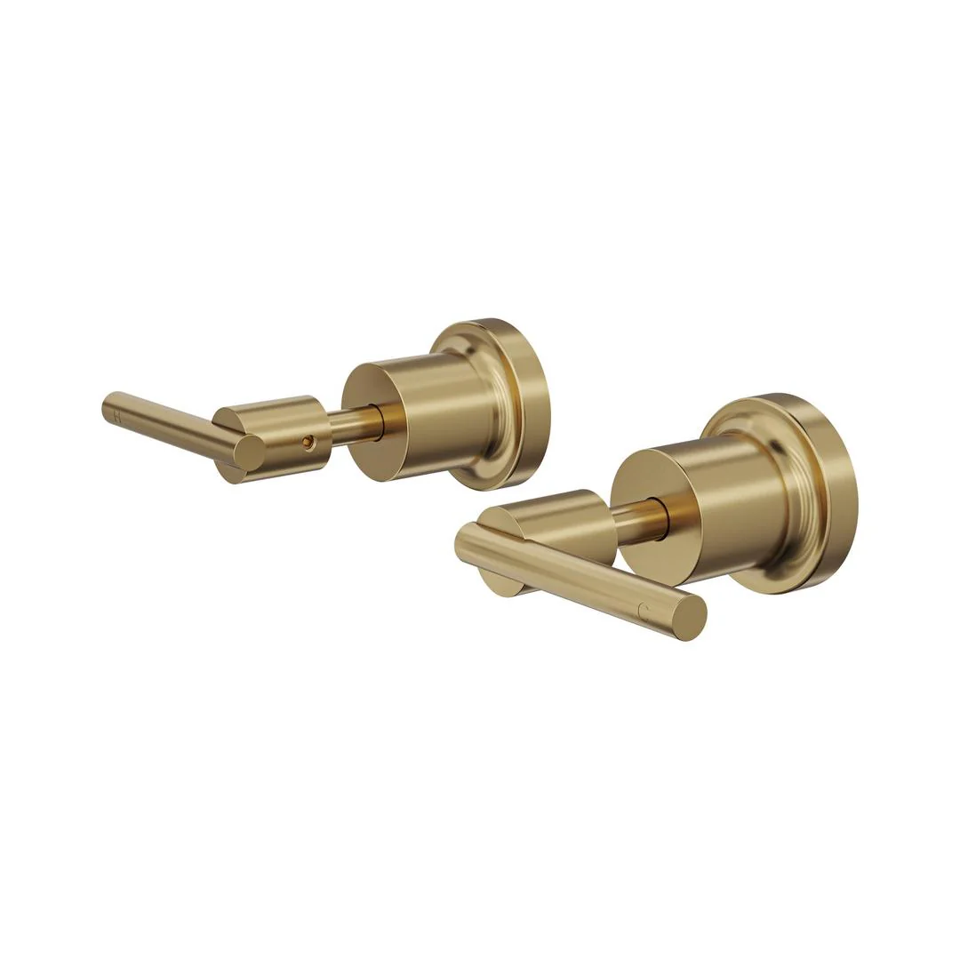 Linsol Tre Lever Handle Wall Top Assemblies - Brushed Brass